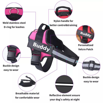 Personalized Reflective Adjustable Pet Harness