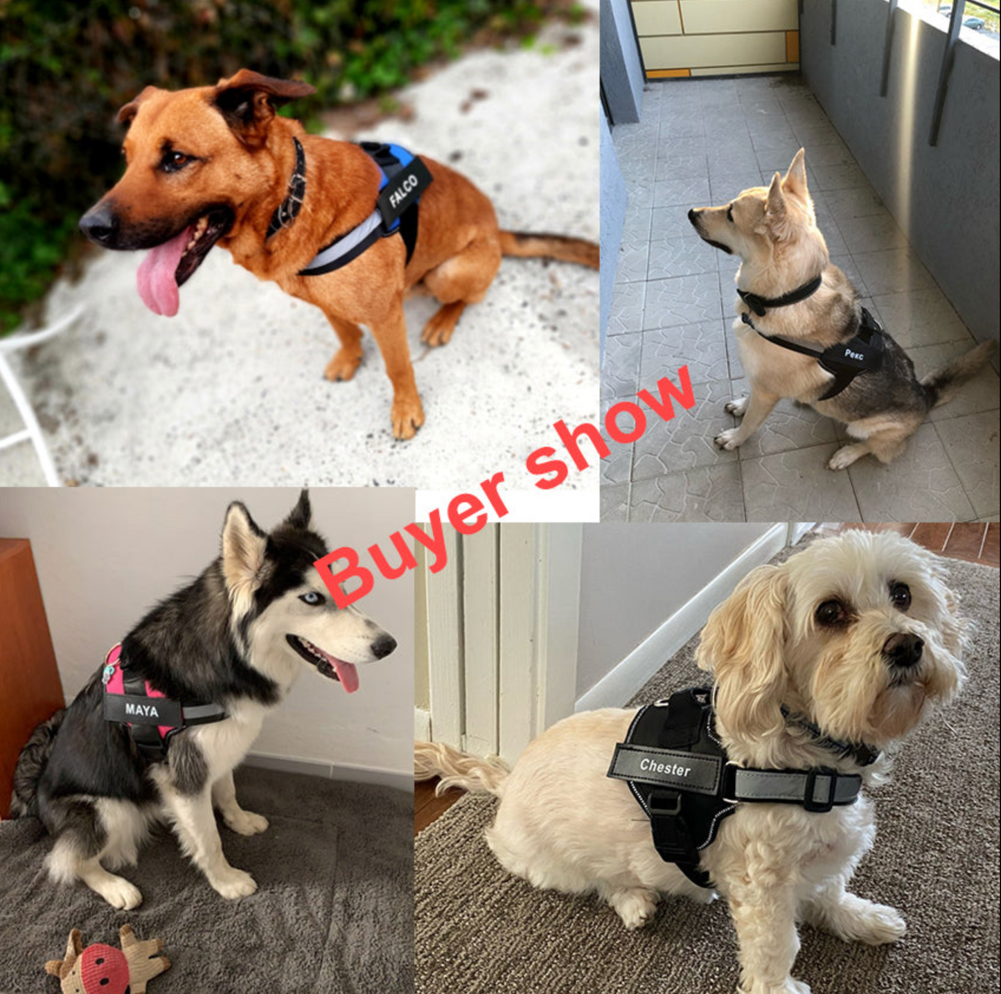 Personalized Reflective Adjustable Pet Harness